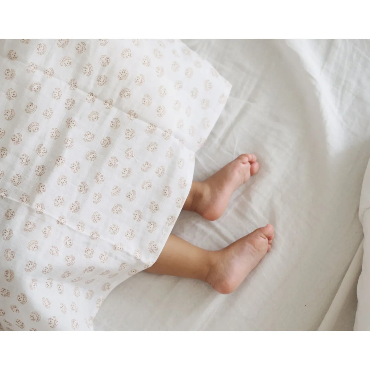 Lot De 3 Langes En Coton Hedgehog