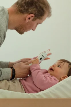 Mouche Bébé Electrique Nomade Aspidoo