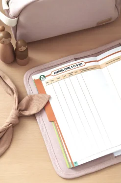 Protege Carnet De Sante Dusty Rose