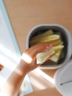 Snack Box Silicone Velvet Grey